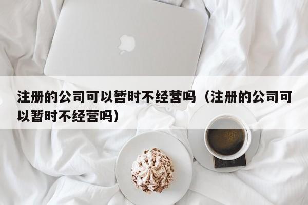 注册的公司可以暂时不经营吗（注册的公司可以暂时不经营吗）