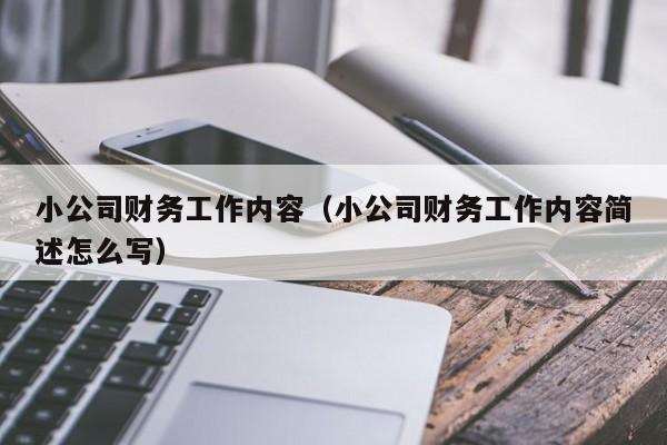 小公司财务工作内容（小公司财务工作内容简述怎么写）