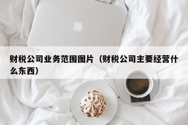 财税公司业务范围图片（财税公司主要经营什么东西）