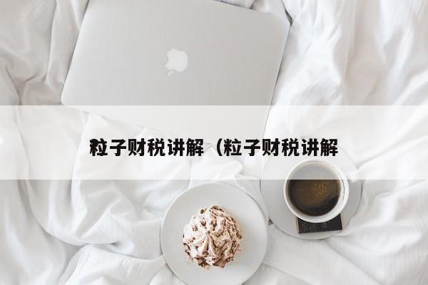 粒子财税讲解（粒子财税讲解
?）