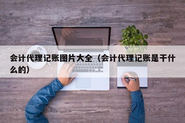 会计代理记账图片大全（会计代理记账是干什么的）