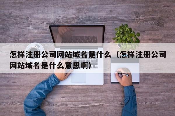 怎样注册公司网站域名是什么（怎样注册公司网站域名是什么意思啊）