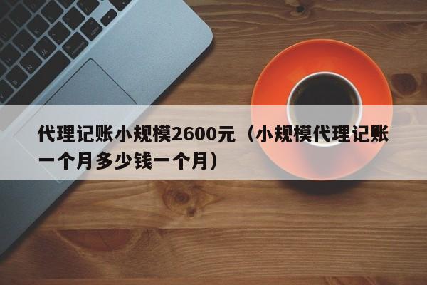 代理记账小规模2600元(小规模代理记账一个月多少钱一个月)
