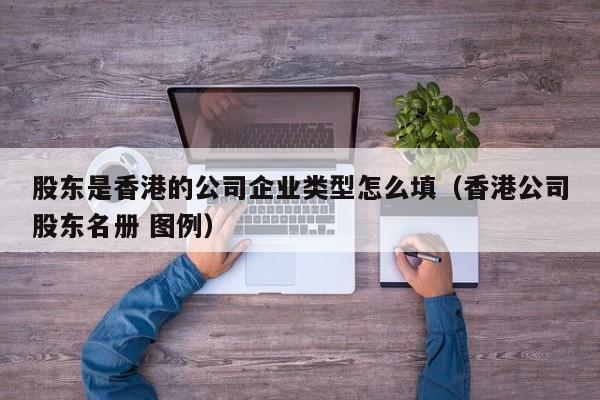 股东是香港的公司企业类型怎么填（香港公司股东名册 图例）