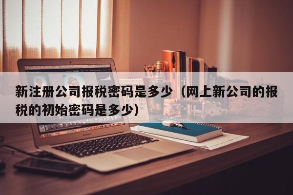 新注册公司报税密码是多少(网上新公司的报税的初始密码是多少)